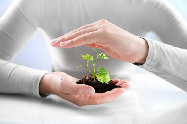 Peace of Mind for Farmers: Exploring the Benefits of Comprehensive Farm Insurance